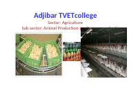 poultry egg production.pdf